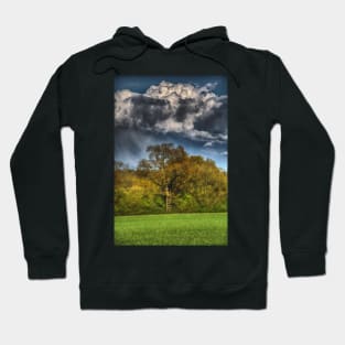 A Ladder to the Clouds Hoodie